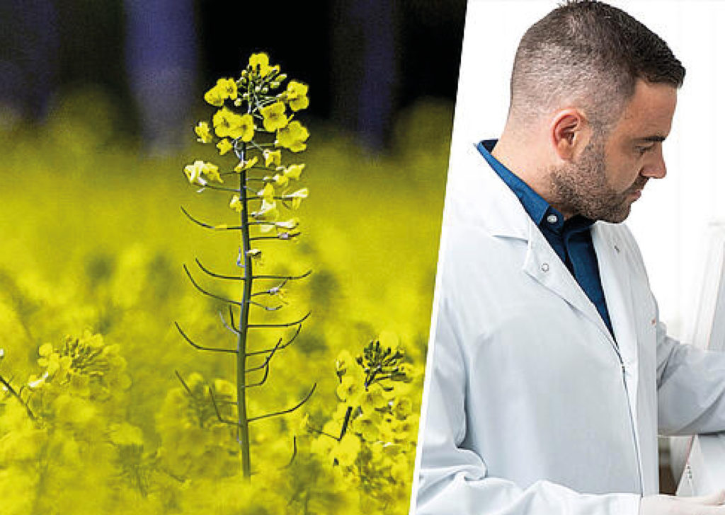 Webinar: Comprehensive Elemental Analysis of Biofuels and Their Precursors